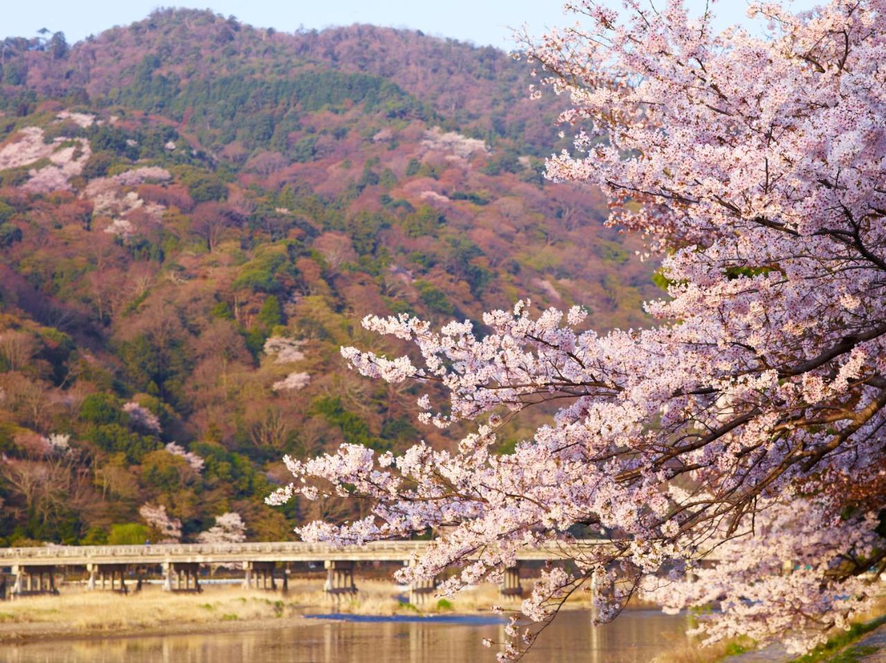 L'Hotel De Hiei Kyoto Eksteriør billede
